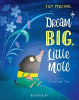 Dream Big, Little Mole (Paperback)