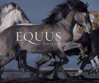 Equus (Mini) (Hardback)