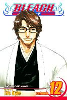 Bleach, Vol. 12 Volume 12: Flower on the Precipice - Bleach (Paperback)