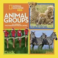Animal Groups - Animals (Hardback)