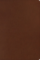 ESV Men's Study Bible (Leather / fine binding)