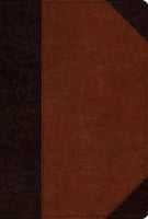 ESV Men's Study Bible (Leather / fine binding)