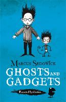 Raven Mysteries: Ghosts and Gadgets: Book 2 - Raven Mysteries (Paperback)