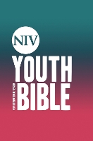 NIV Soul Survivor Youth Bible Hardback - New International Version (Hardback)