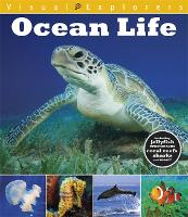 Visual Explorers: Ocean Life - Visual Explorers (Hardback)