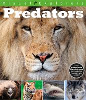 Visual Explorers: Predators - Visual Explorers (Paperback)