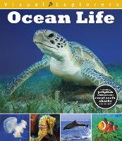 Visual Explorers: Ocean Life - Visual Explorers (Paperback)