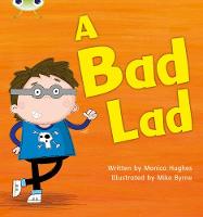 Phonics Bug Phase 2-5 Single Titles - Phonics Bug