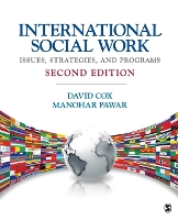 International Social Work: Issues, Strategies, and Programs (Paperback)