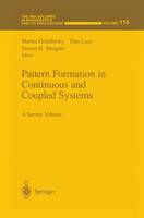 Pattern Formation in Continuous and Coupled Systems: A Survey Volume - The IMA Volumes in Mathematics and its Applications 115 (Paperback)