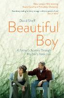 Beautiful Boy: A Father's Journey Through His Son's  Addiction (Paperback)