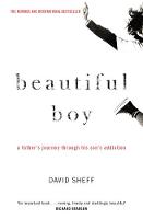 Beautiful Boy: A Father's Journey Through His Son's Addiction (Paperback)