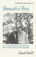 Beautiful Boy: A Father's Journey Through His Son's  Addiction (Paperback)