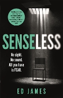 Senseless (Paperback)