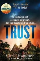 Trust - A Martin Scarsden Thriller (Paperback)