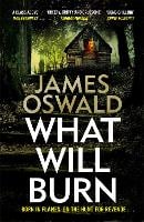 What Will Burn - The Inspector McLean Series (Paperback)