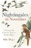 Nightingales in November: A Year in the Lives of Twelve British Birds (Hardback)