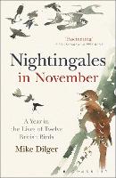Nightingales in November: A Year in the Lives of Twelve British Birds (Paperback)