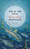 Eye of the Shoal: A Fishwatcher's Guide to Life, the Ocean and Everything (Hardback)