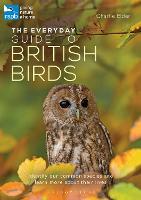 The Everyday Guide to British Birds: Identify our common species and learn more about their lives (Paperback)
