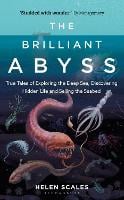 The Brilliant Abyss: True Tales of Exploring the Deep Sea, Discovering Hidden Life and Selling the Seabed (Hardback)