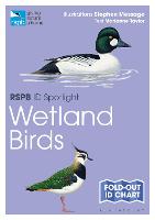 RSPB ID Spotlight - Wetland Birds - RSPB
