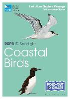 RSPB ID Spotlight - Coastal Birds - RSPB