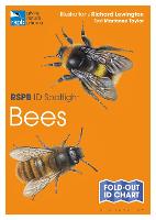 RSPB ID Spotlight - Bees - RSPB