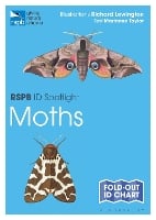 RSPB ID Spotlight - Moths - RSPB
