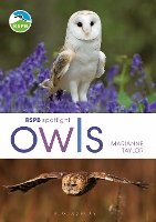 RSPB Spotlight Owls (Paperback)