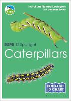 RSPB ID Spotlight - Caterpillars - RSPB