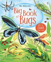Big Book of Bugs - Big Books (Hardback)