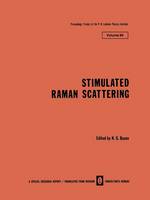Stimulated Raman Scattering - The Lebedev Physics Institute Series 99 (Paperback)