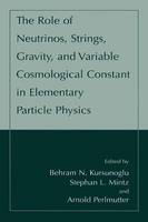 The Role of Neutrinos, Strings, Gravity, and Variable Cosmological Constant in Elementary Particle Physics (Paperback)
