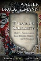 Tenacious Solidarity: Biblical Provocations on Race, Religion, Climate, and the Economy (Paperback)