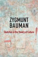 Sketches in the Theory of Culture (Paperback)