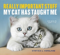 Really Important Stuff My Cat Has Taught Me (Paperback)