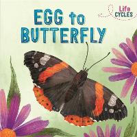 Life Cycles: Egg to Butterfly - Life Cycles (Hardback)
