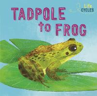 Life Cycles: From Tadpole to Frog - Life Cycles (Hardback)