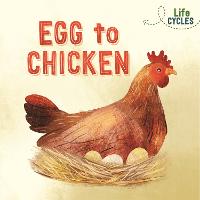 Life Cycles: Egg to Chicken - Life Cycles (Hardback)