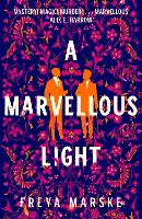 A Marvellous Light - The Last Binding (Hardback)