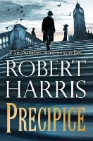 Precipice (Hardback)