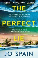 The Perfect Lie (Paperback)