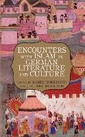 Encounters with Islam in German Literature and Culture - Studies in German Literature Linguistics and Culture (Hardback)