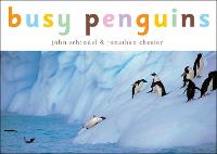 Busy Penguins - A Busy Book (Board book)