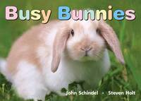 Busy Bunnies (Board book)