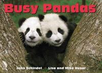 Busy Pandas - A Busy Book (Board book)