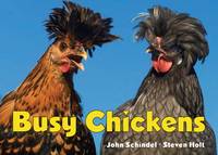 Busy Chickens - Busy Series (Board book)
