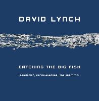 Catching the Big Fish: Meditation, Consciousness and Creativity (Hardback)