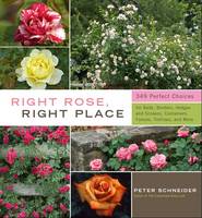 Right Rose, Right Place (Hardback)